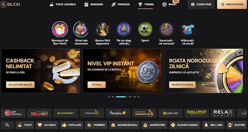 Furnizori de software la Bilion