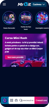 Prima pagină a site-ului Mr Bit