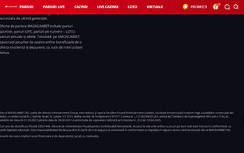 Informații despre site-ul Magnumbet