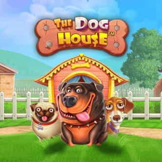 Slot The Dog House Pragmatic Play