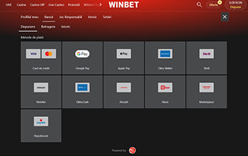 Metode de plată la Winbet